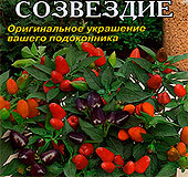 Перец кустарниковый Созвездие, 0,1 г Перец кустарниковый Созвездие, 0,1 г
