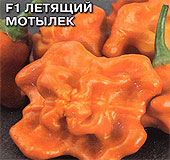 Перец кустарниковый Летящий мотылёк, 0,05 г Перец кустарниковый Летящий мотылёк, 0,05 г