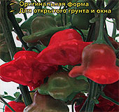 Перец острый Звончик, 5 шт. Перец острый Звончик, 5 шт.