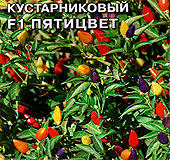 Перец кустарниковый Пятицвет F1, 0,15 г Перец кустарниковый Пятицвет F1, 0,15 г