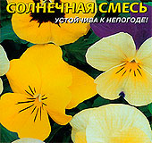 Виола Вильямса Велюр Солнечная смесь, 10 шт. Виола Вильямса Велюр Солнечная смесь, 10 шт.