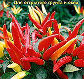 Перец острый Фейерверк, 10 шт. Перец острый Фейерверк, 10 шт.