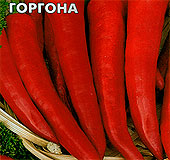 Перец острый Горгона, 0,2 г Перец острый Горгона, 0,2 г