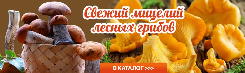 Semenapost Ru Интернет Магазин Семян