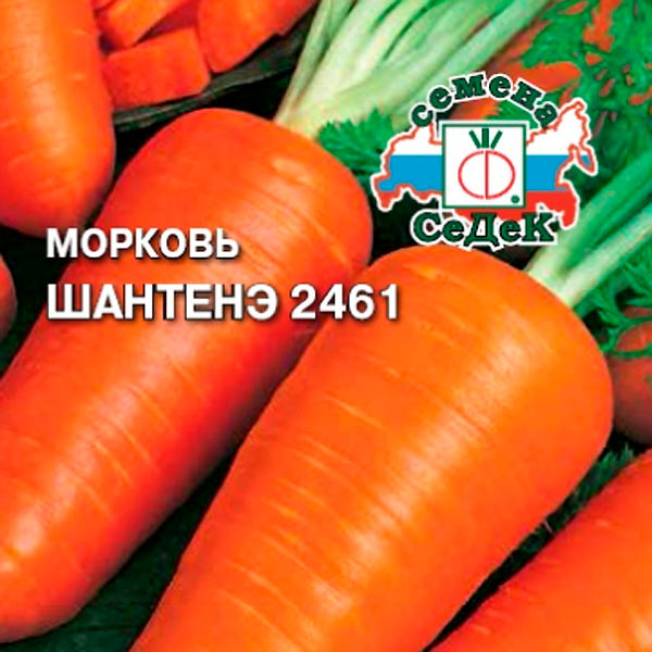 Морковь Шантенэ 2461, 2 г