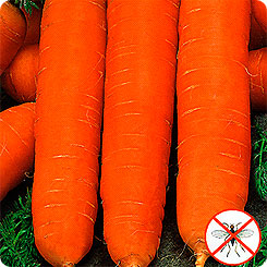 Морковь Нантик Резистафлай F1, 0,5 г