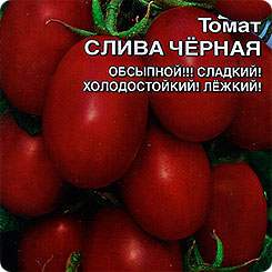 Томаты слива описание сорта фото отзывы
