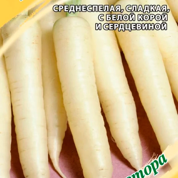 Морковь Карамель Сахарная, 70 шт. Семена от автора