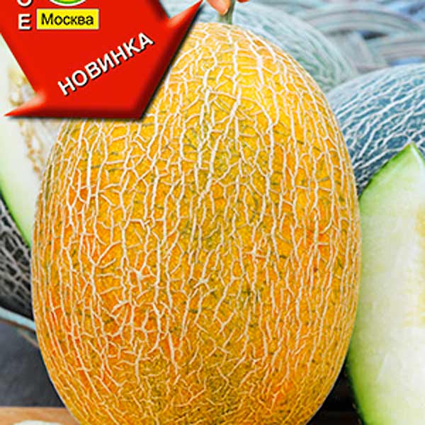 Семена дыни, купить в интернет магазине Semenapost.ru