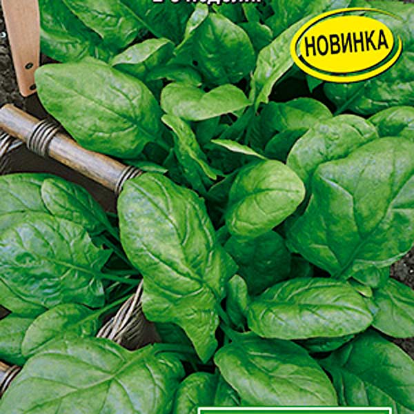 Семена шпината, купить в интернет магазине Semenapost.ru