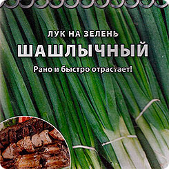 Лук на зелень Шашлычный, 1 г Кольчуга