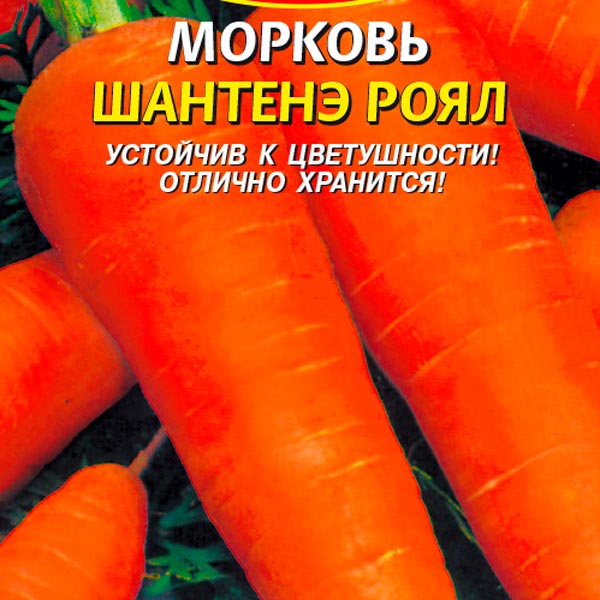 Морковь Шантенэ Роял, 2 г