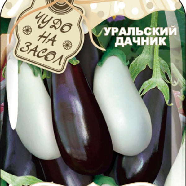 Семена баклажана, купить в интернет магазине Semenapost.ru