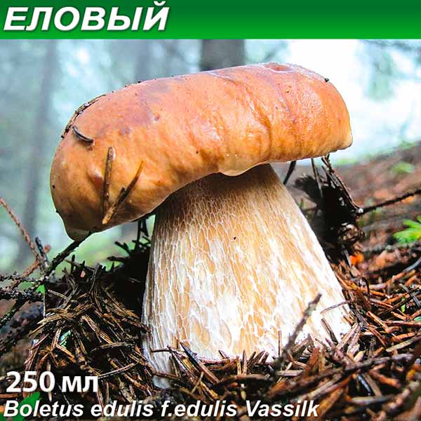 Грибница субстрат микоризный Белый гриб Еловый, 250 мл