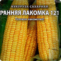 Кукуруза сахарная Ранняя лакомка 121, 5 г Кольчуга