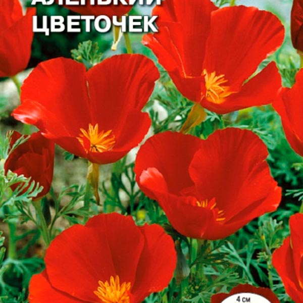 Эшшольция Аленький цветочек, 0,06 г