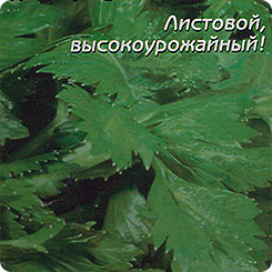 Сельдерей листовой Парус, 0,4 г