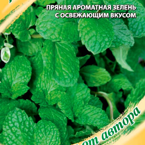 Семена мяты купить в интернет магазине Semenapost.ru