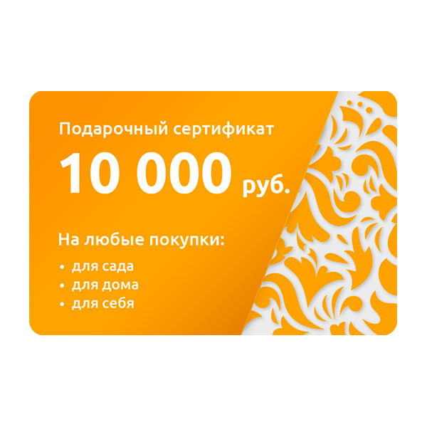 Подарочный сертификат на 10000 рублей