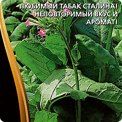 Табак курительный Герцеговина Флор, 0,05 г Семена премиум класса
