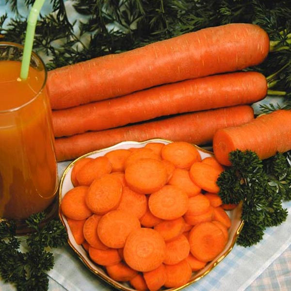 Морковь сахарная Лакомка F1, 100 шт. Вкуснятина!