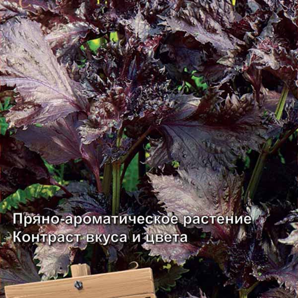 Перилла овощная Росинка, 0,02 г Декоративный огород 