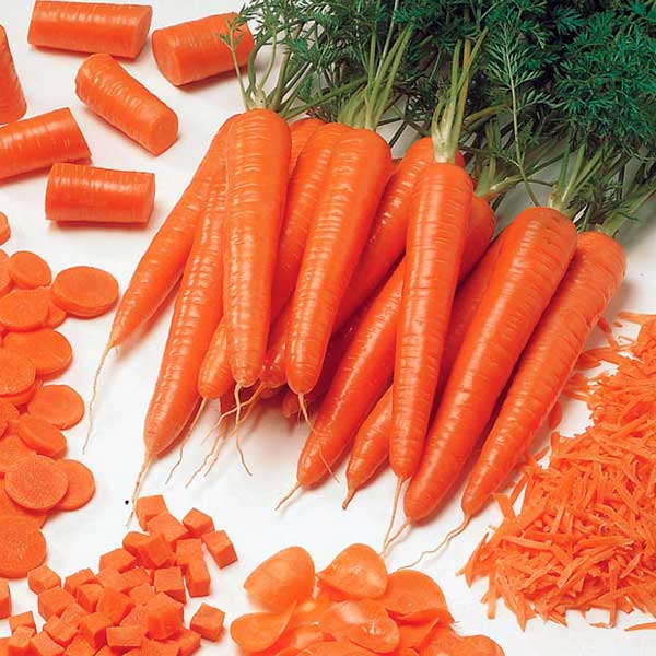 Морковь Флайвей F1, 100 шт.