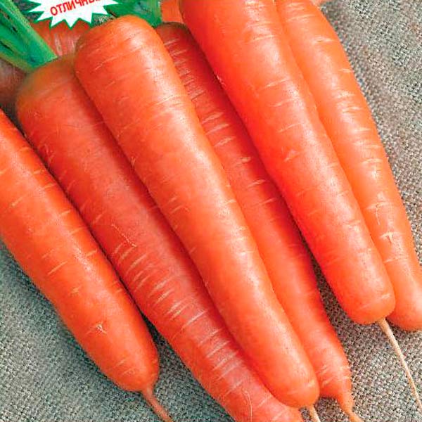 Морковь Балтимор F1, 150 шт. Золотая Коллекция