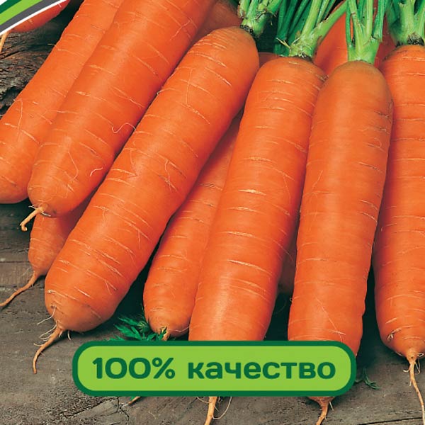 Морковь Краса Севера F1, 0,5 г