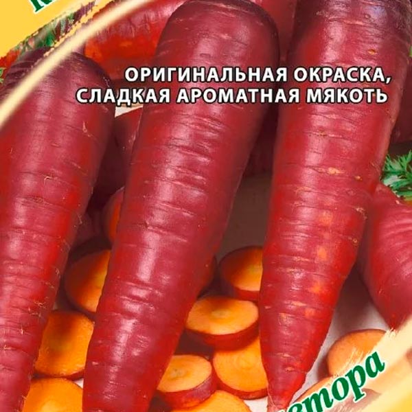 Морковь Карамель С начинкой, 150 шт. Семена от автора