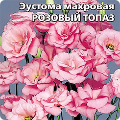 Эустома Розовый Топаз, 5 шт.