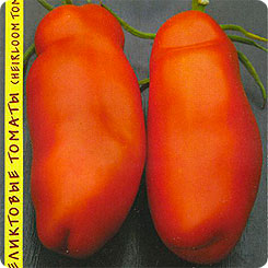 Томат Аурия, 10 шт. Реликтовые томаты