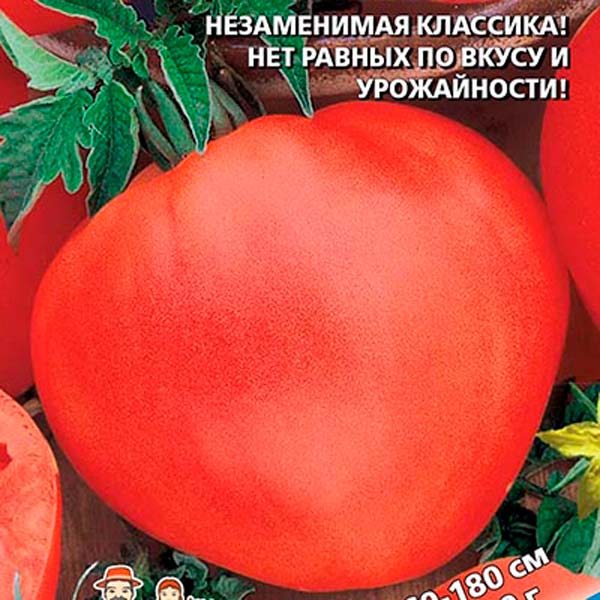 семена томатов сердцеедка