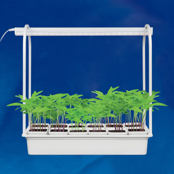 Набор Минисад Светильник для растений светодиодный с подставкой (спектр для фотосинтеза), 12 кашпо