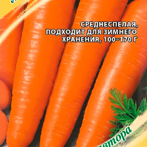 Морковь Любимая мамочка, 2 г Семена от автора