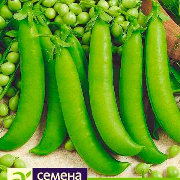 Горох овощной Жегалова 112, 10 г Произведено в Сибири