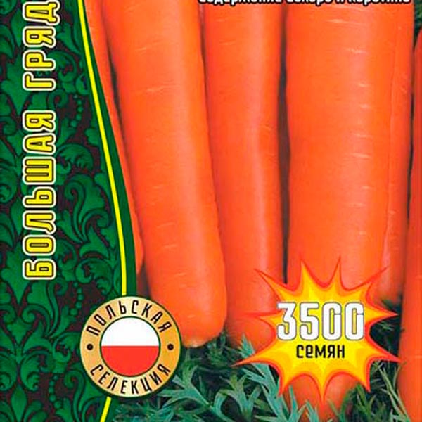Морковь Польская Сластёна Поздняя, 3500 шт. Большая Грядка