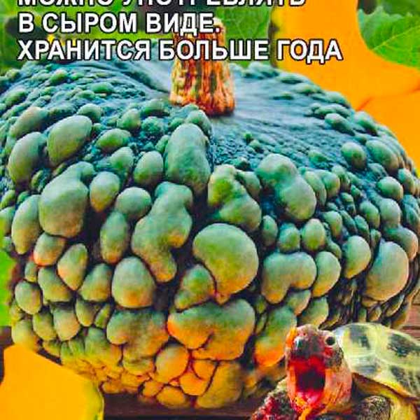Тыква Тортилла, 2 г Произведено в Сибири