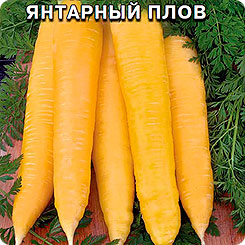 Морковь Янтарный плов, 0,1 г