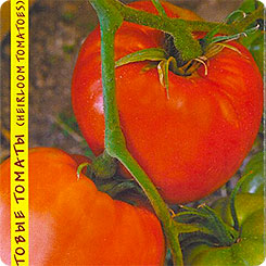 Томат Реликвия из Уссурийска, 10 шт. Реликтовые томаты