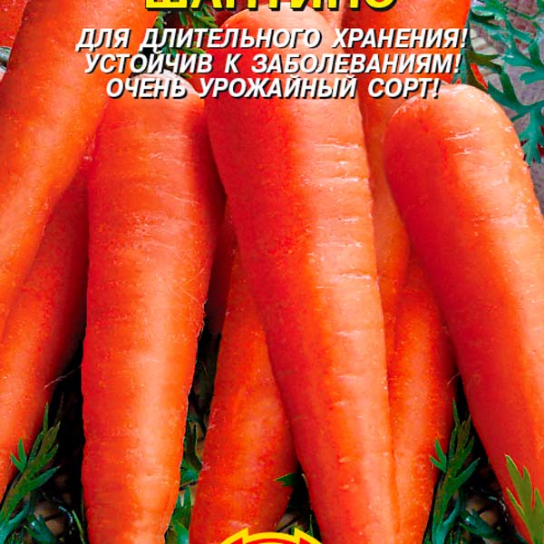 Морковь Шантино, 1,5 г