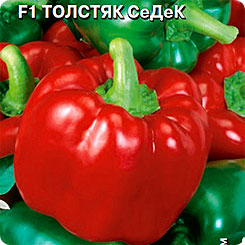 Перец сладкий Толстяк СеДеК F1, 0,1 г