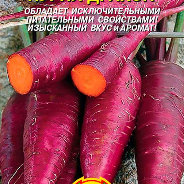 Морковь Пурпл Дракон, 100 шт.