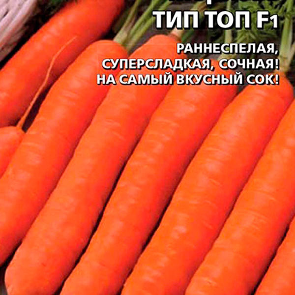 Морковь Тип Топ F1, 1 г Семена из Голландии
