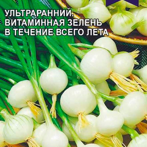 Лук на зелень и мини-головку Ранний Пучок, 0,5 г Произведено в Сибири