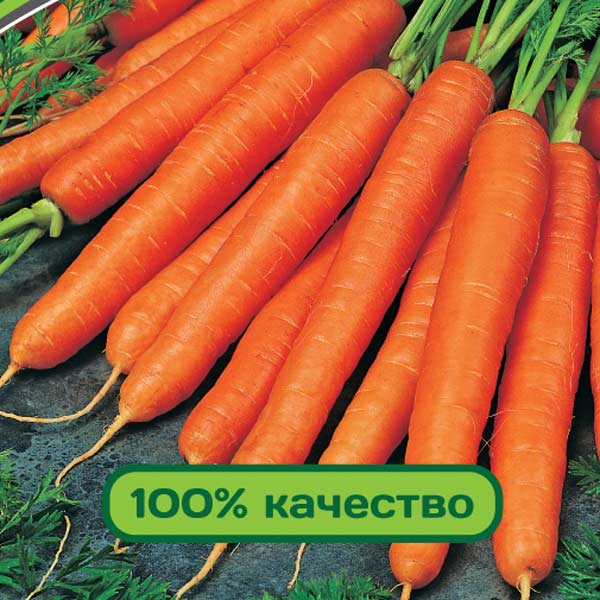 Морковь Страна чудес F1, 1 г