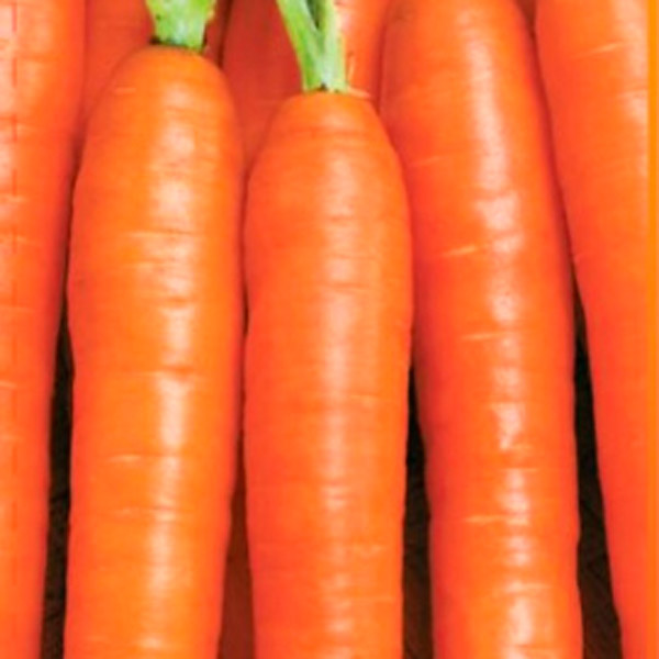 Морковь Нантезе, 2 г Сибирский огород