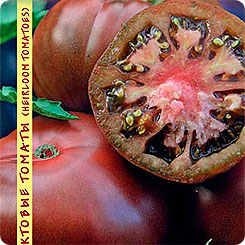 Томат Шоколадная глыба, 10 шт. Реликтовые томаты