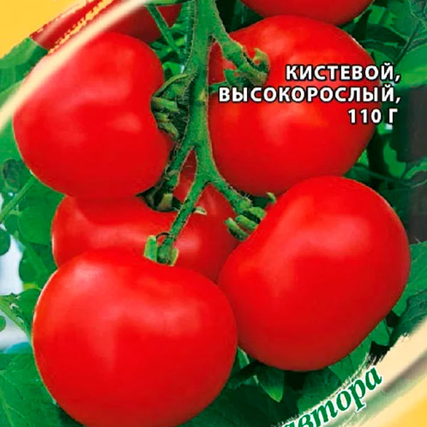 Томат Интуиция F1, 12 шт. Семена от автора, купить в интернет магазине  Semenapost.ru