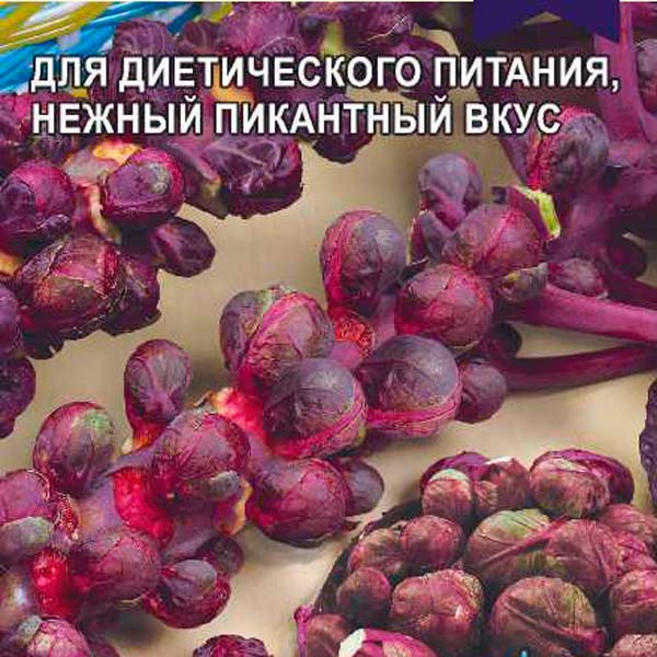 Капуста брюссельская Рубиновые Бусы, 0,1 г Произведено в Сибири